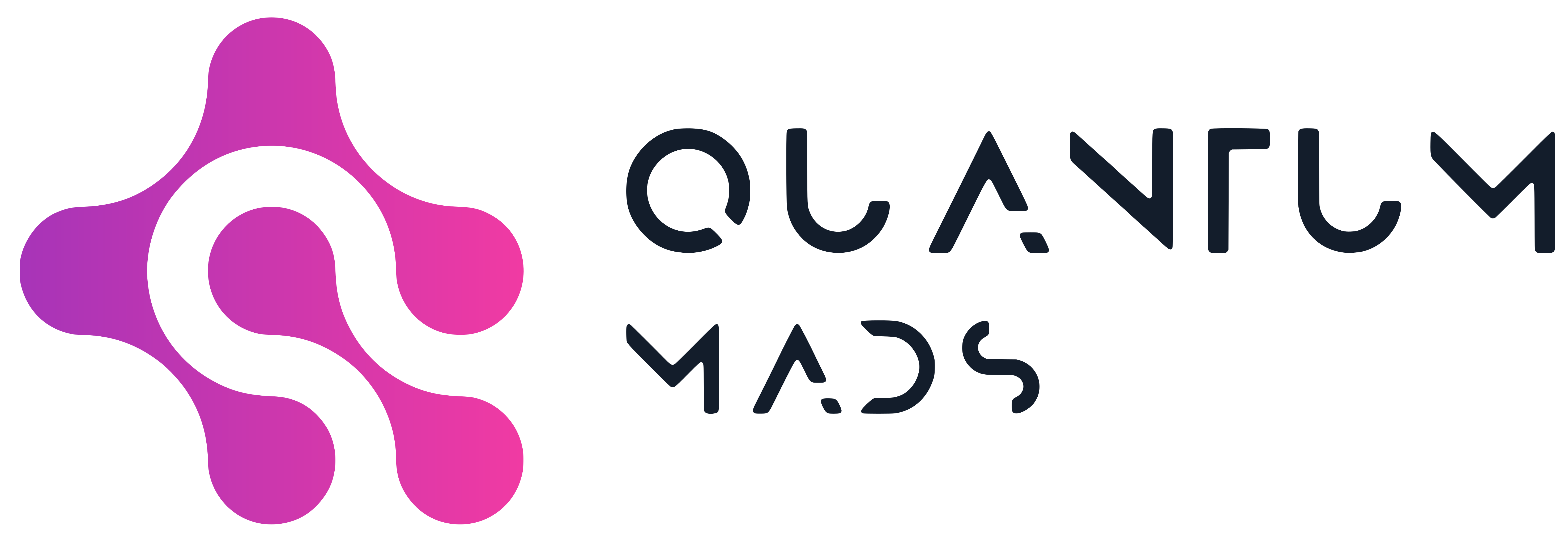 QUANTUM MADS